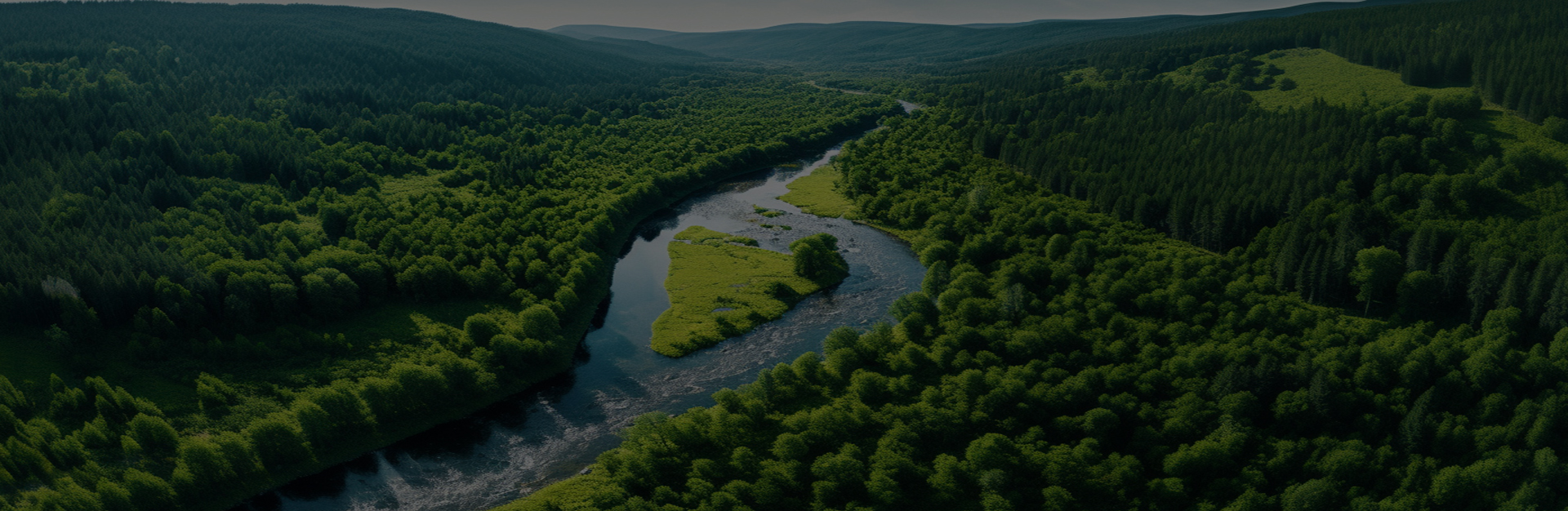 Công ty TNHH Sản xuất Máy móc Gia Hưng Dingshi