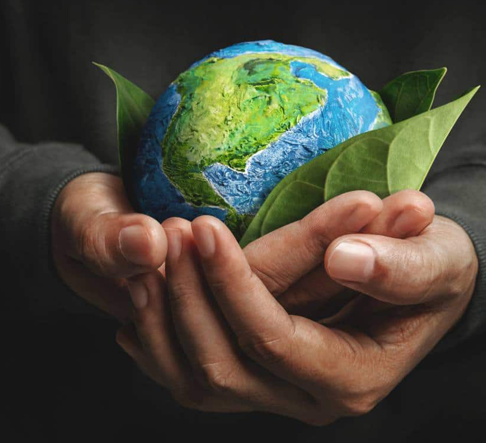 Công ty TNHH Sản xuất Máy móc Gia Hưng Dingshi